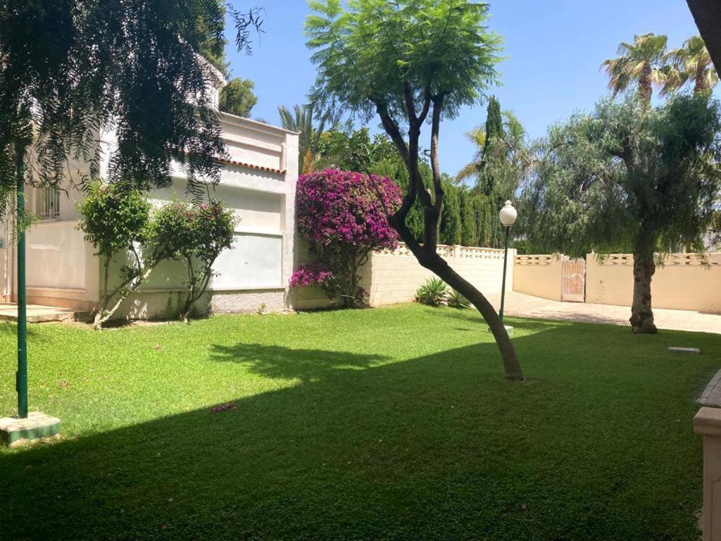 Apartamento Con Piscina Y Parking El Campello Exterior foto